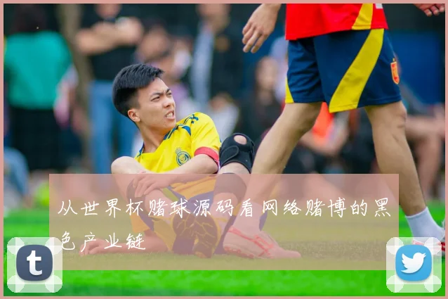 从世界杯赌球源码看网络赌博的黑色产业链
