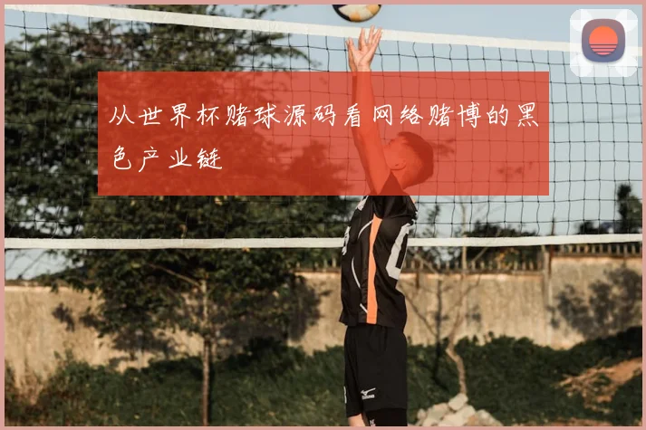 从世界杯赌球源码看网络赌博的黑色产业链