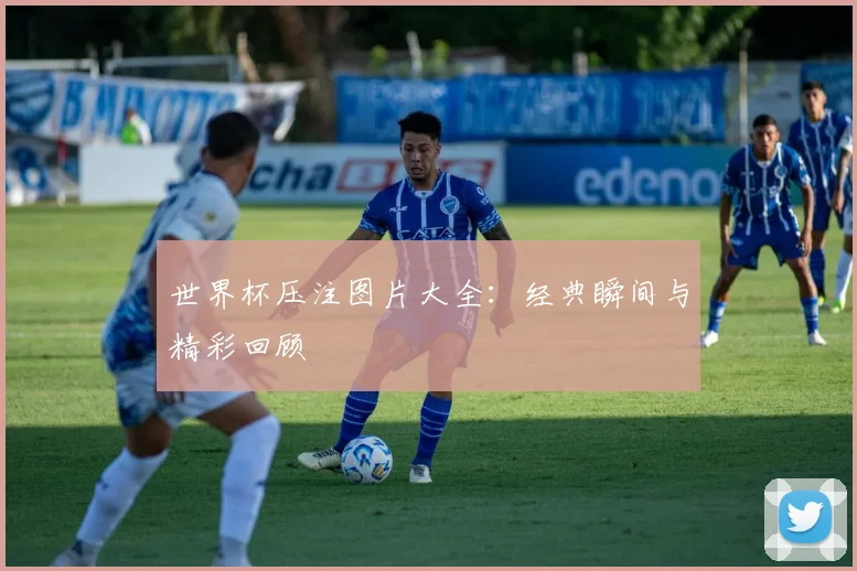世界杯压注图片大全:经典瞬间与精彩回顾