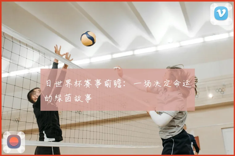 日世界杯赛事前瞻:一场决定命运的绿茵故事