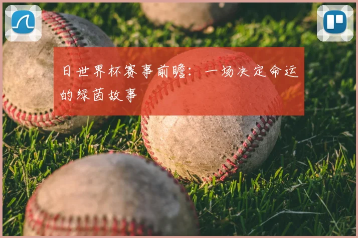 日世界杯赛事前瞻:一场决定命运的绿茵故事